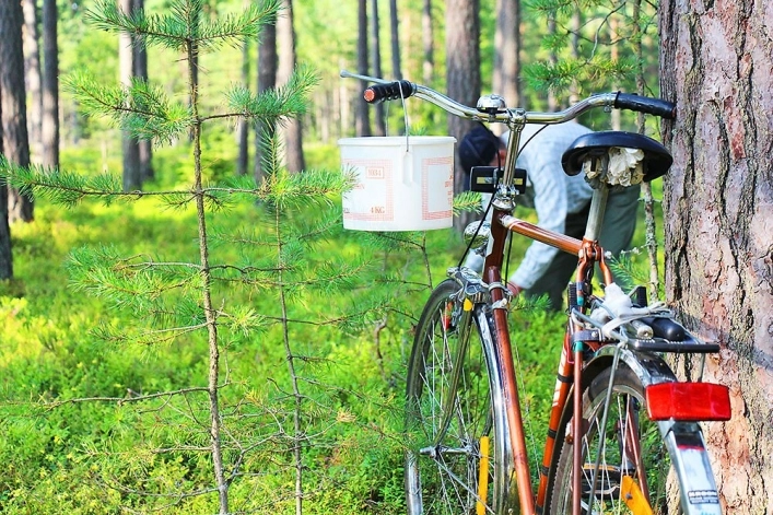 zobacz camping - zdjęcie 18