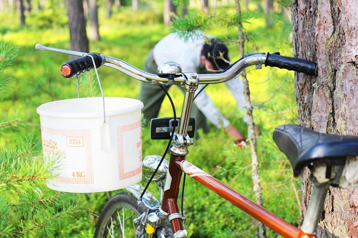 zobacz camping - zdjęcie 15