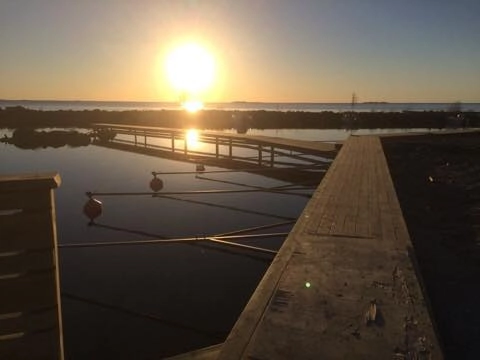 zobacz camping - zdjęcie 19