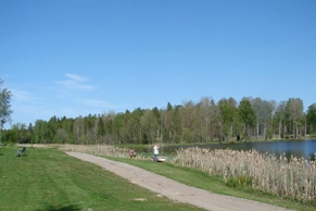 zobacz camping - zdjęcie 13