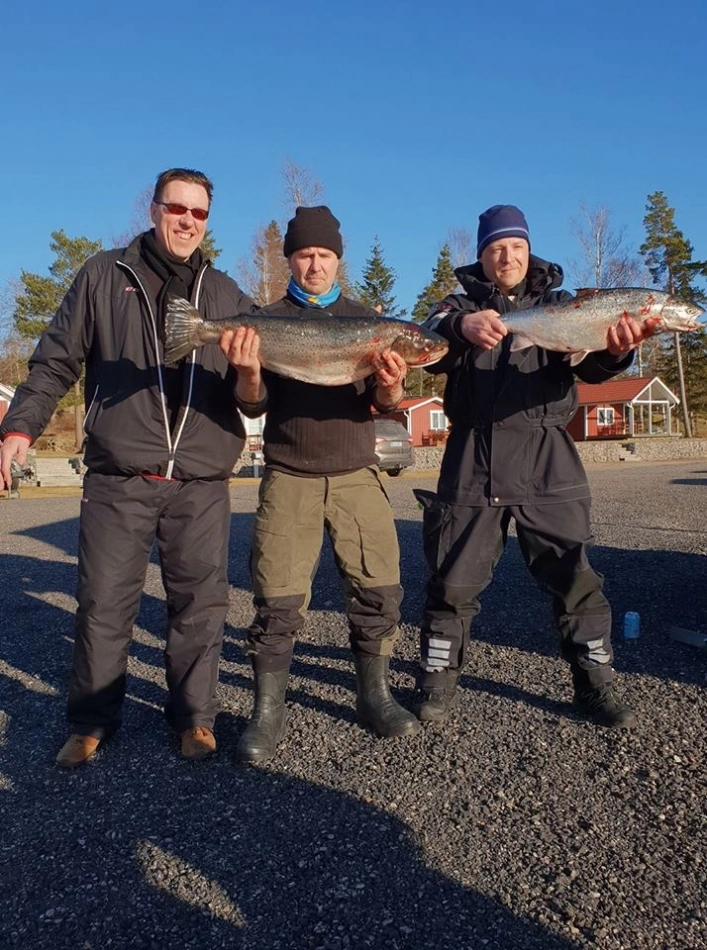 zobacz camping - zdjęcie 7