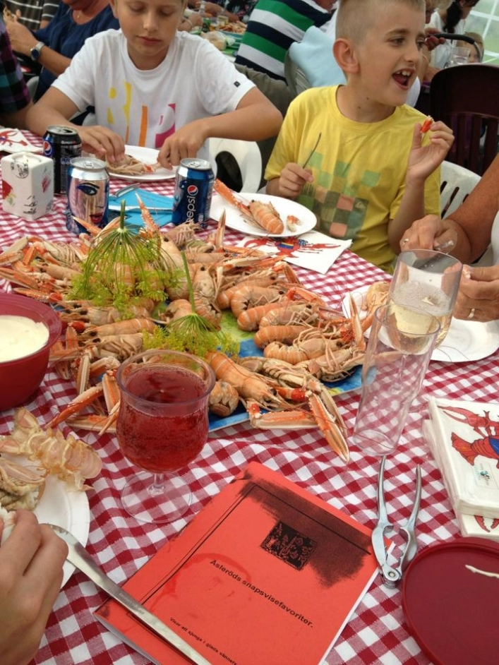 zobacz camping - zdjęcie 9