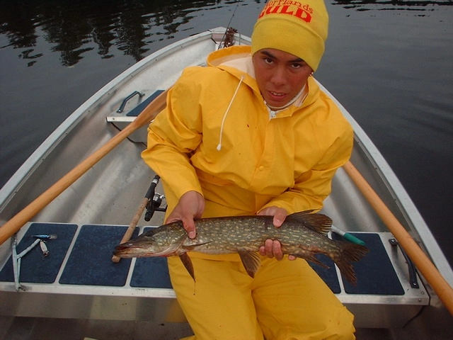 zobacz camping - zdjęcie 25