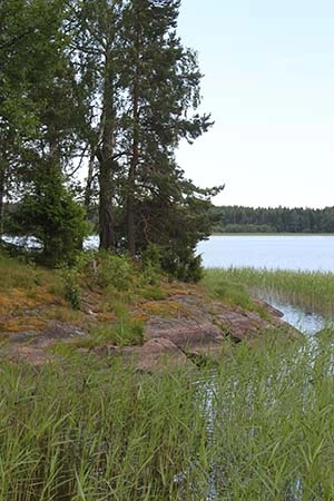 zobacz camping - zdjęcie 24