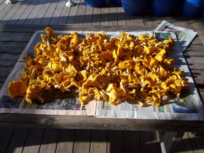 zobacz camping - zdjęcie 15