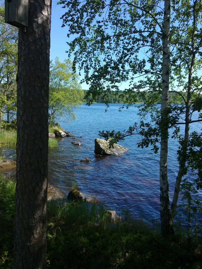 zobacz camping - zdjęcie 2