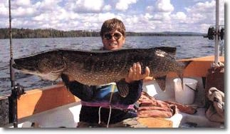 zobacz camping - zdjęcie 1