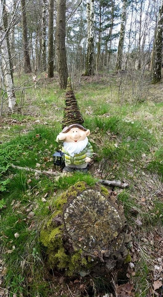 zobacz camping - zdjęcie 22