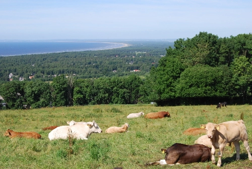 zobacz camping - zdjęcie 19