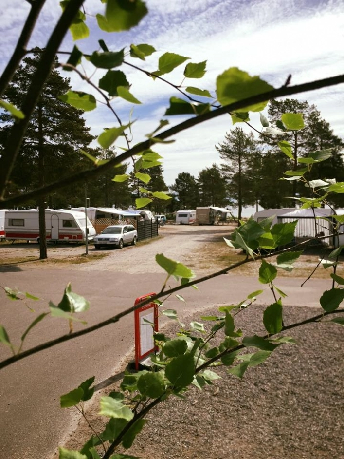 zobacz camping - zdjęcie 14