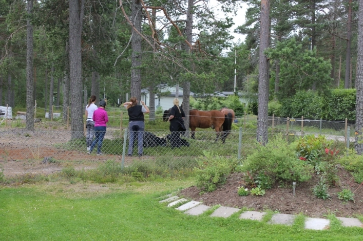 Bergafjärdens Camping & Havsbad - zdjęcie 1