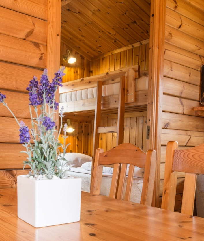 zobacz camping - zdjęcie 10