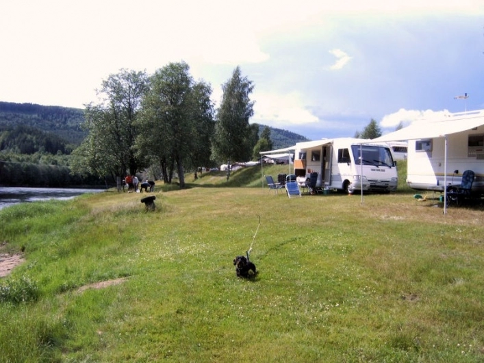 zobacz camping - zdjęcie 12