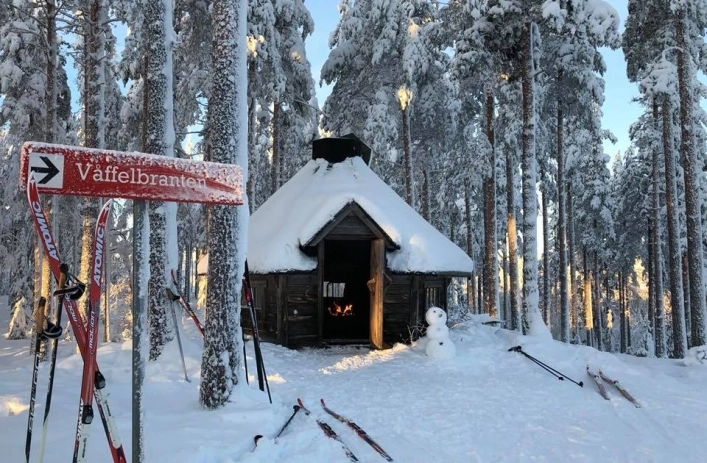 zobacz camping - zdjęcie 11