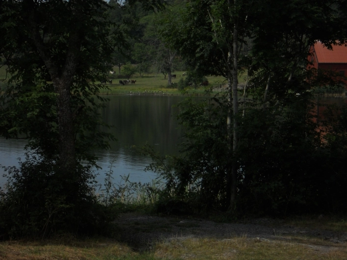 zobacz camping - zdjęcie 9