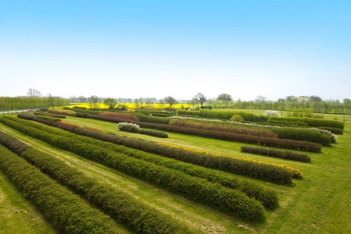 zobacz camping - zdjęcie 10