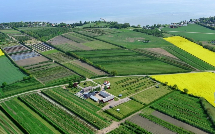 Bläsinge Gård Camping - zdjęcie 2