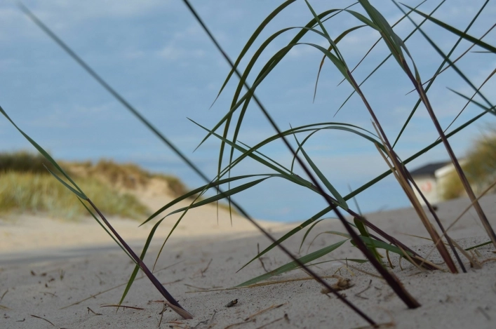 zobacz camping - zdjęcie 16