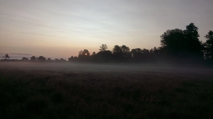 zobacz camping - zdjęcie 13