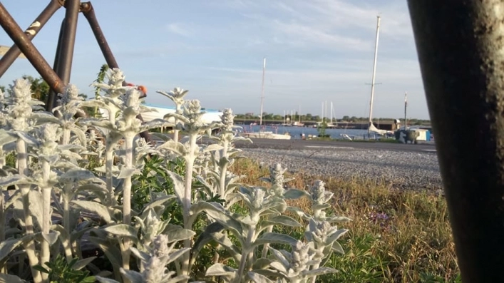 zobacz camping - zdjęcie 12