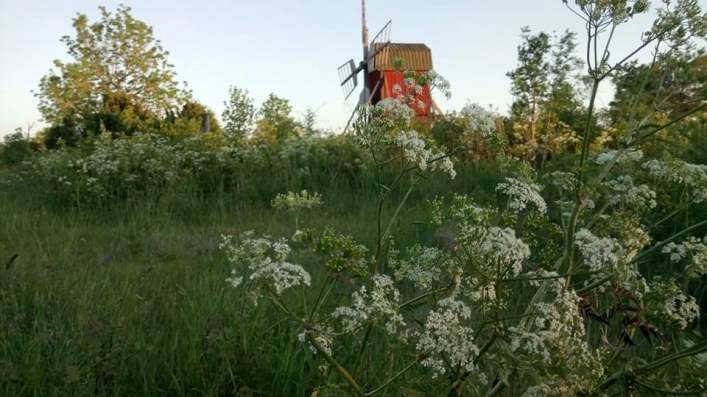 zobacz camping - zdjęcie 9