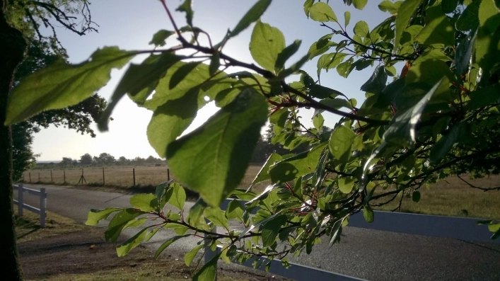 Bödagårdens Camping - zdjęcie 1