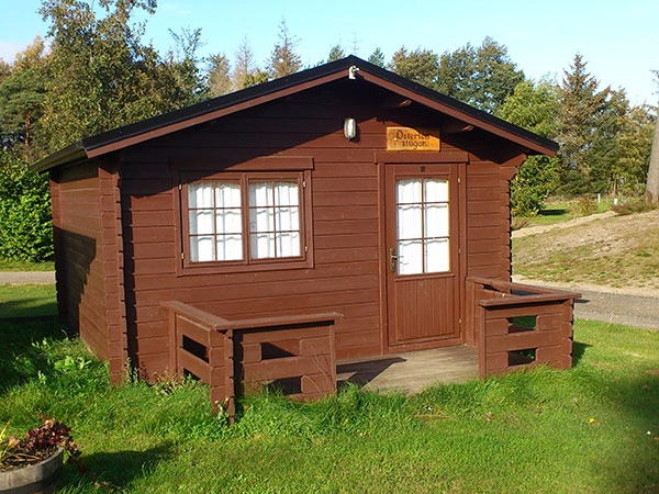 zobacz camping - zdjęcie 20