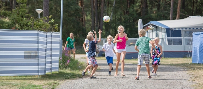 zobacz camping - zdjęcie 13