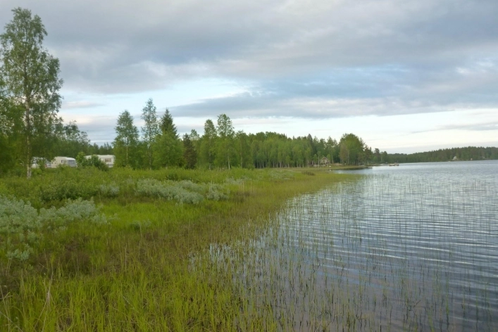 zobacz camping - zdjęcie 3