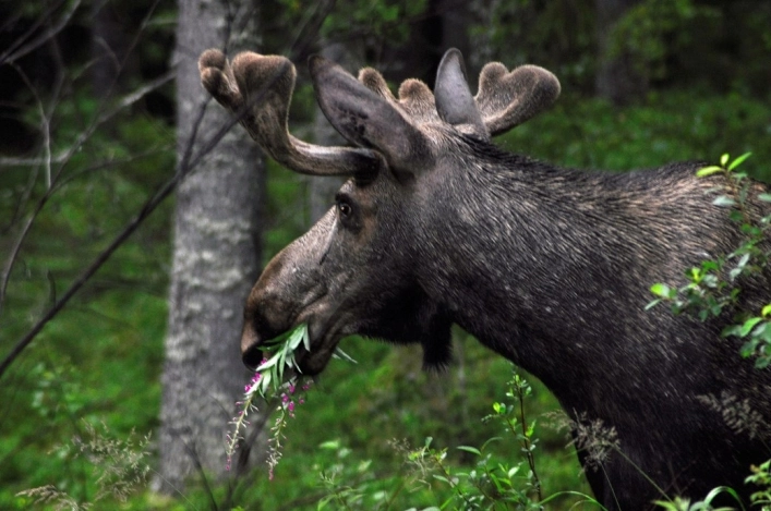zobacz camping - zdjęcie 6