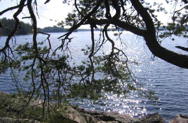 zobacz camping - zdjęcie 34