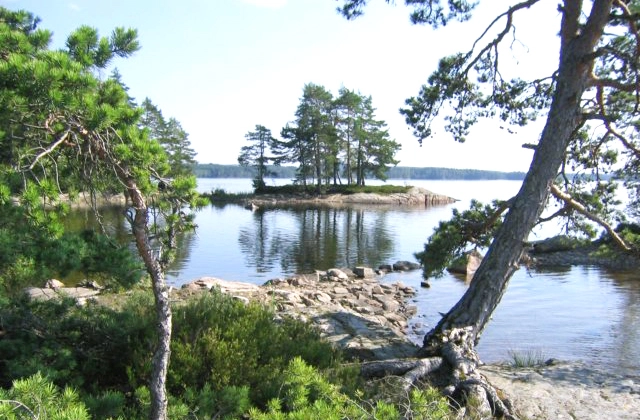 zobacz camping - zdjęcie 20