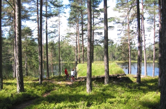 Camp Grinsby - zdjęcie 3