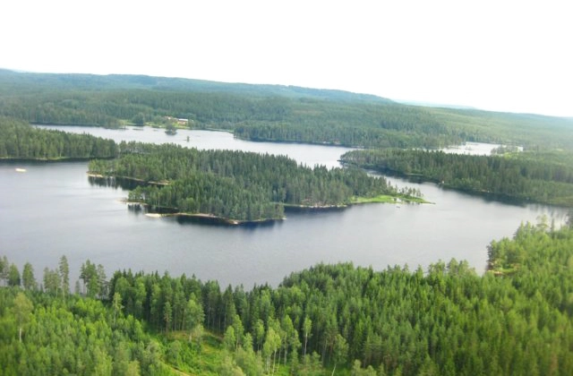 Camp Grinsby - zdjęcie 2