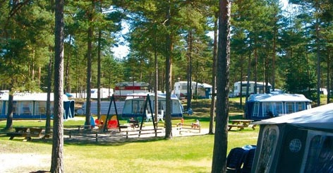 zobacz camping - zdjęcie 3