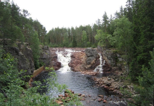 zobacz camping - zdjęcie 9