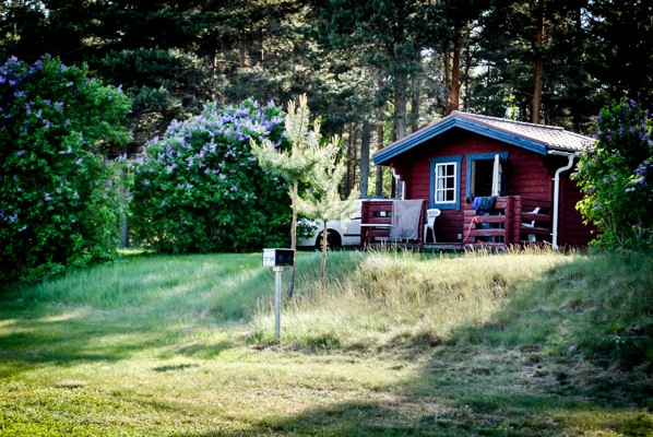 zobacz camping - zdjęcie 15