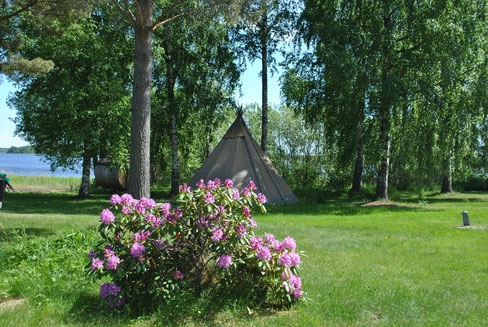 zobacz camping - zdjęcie 9