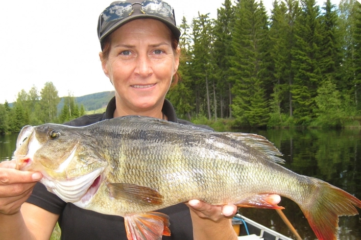 zobacz camping - zdjęcie 20