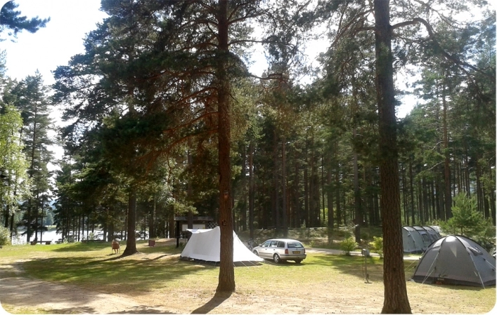 zobacz camping - zdjęcie 13