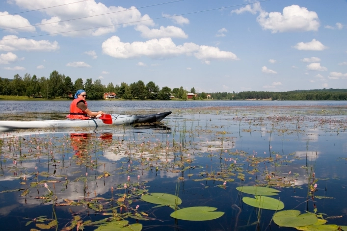 zobacz camping - zdjęcie 11