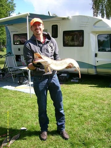 zobacz camping - zdjęcie 15