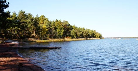 zobacz camping - zdjęcie 6