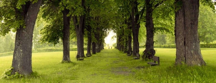 zobacz camping - zdjęcie 17