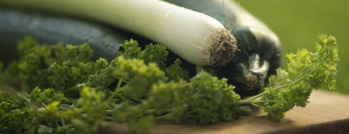 zobacz camping - zdjęcie 14