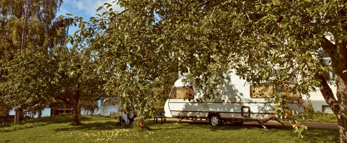 zobacz camping - zdjęcie 3