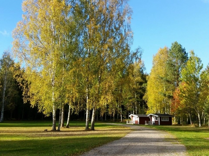 zobacz camping - zdjęcie 21
