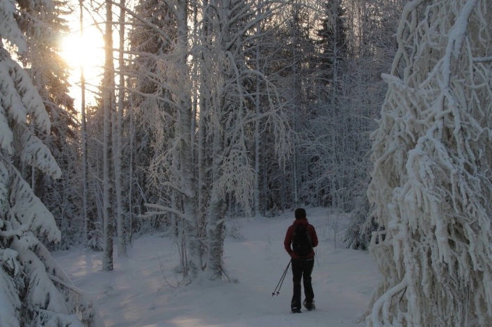 zobacz camping - zdjęcie 24