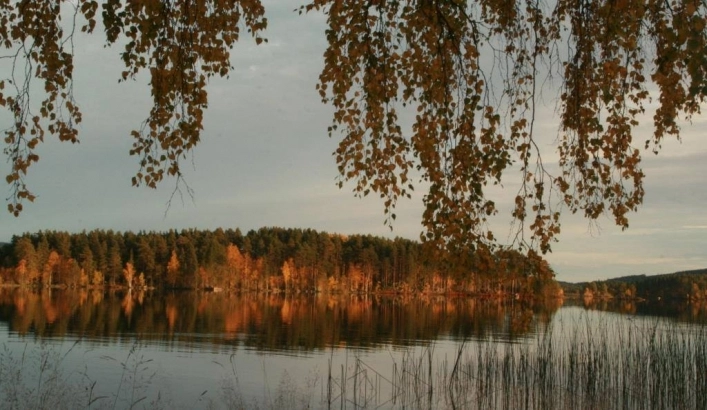 zobacz camping - zdjęcie 12