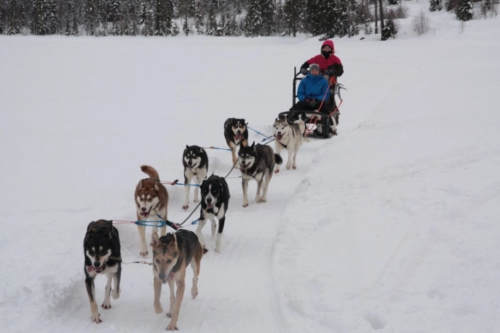 zobacz camping - zdjęcie 9